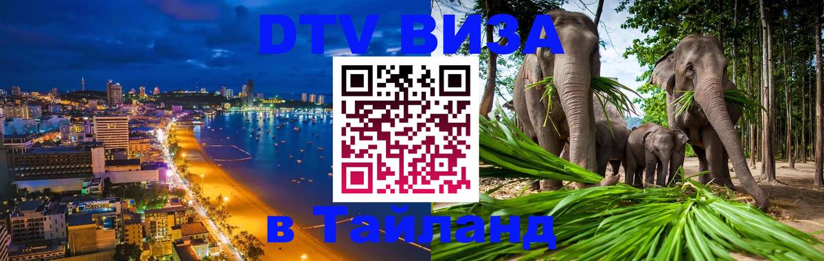 Сколько стоит DTV виза — актуальные цены, оформление даже без документов - 04.12.2025 